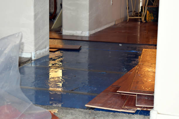 Professional Water Damage Restoration technician working in Saint Benedict, OR